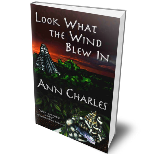 Look What the Wind Blew In (Dig Site Mystery: Book 1)