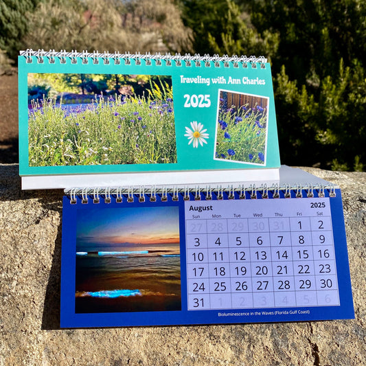 2025 Traveling with Ann DESK Calendar