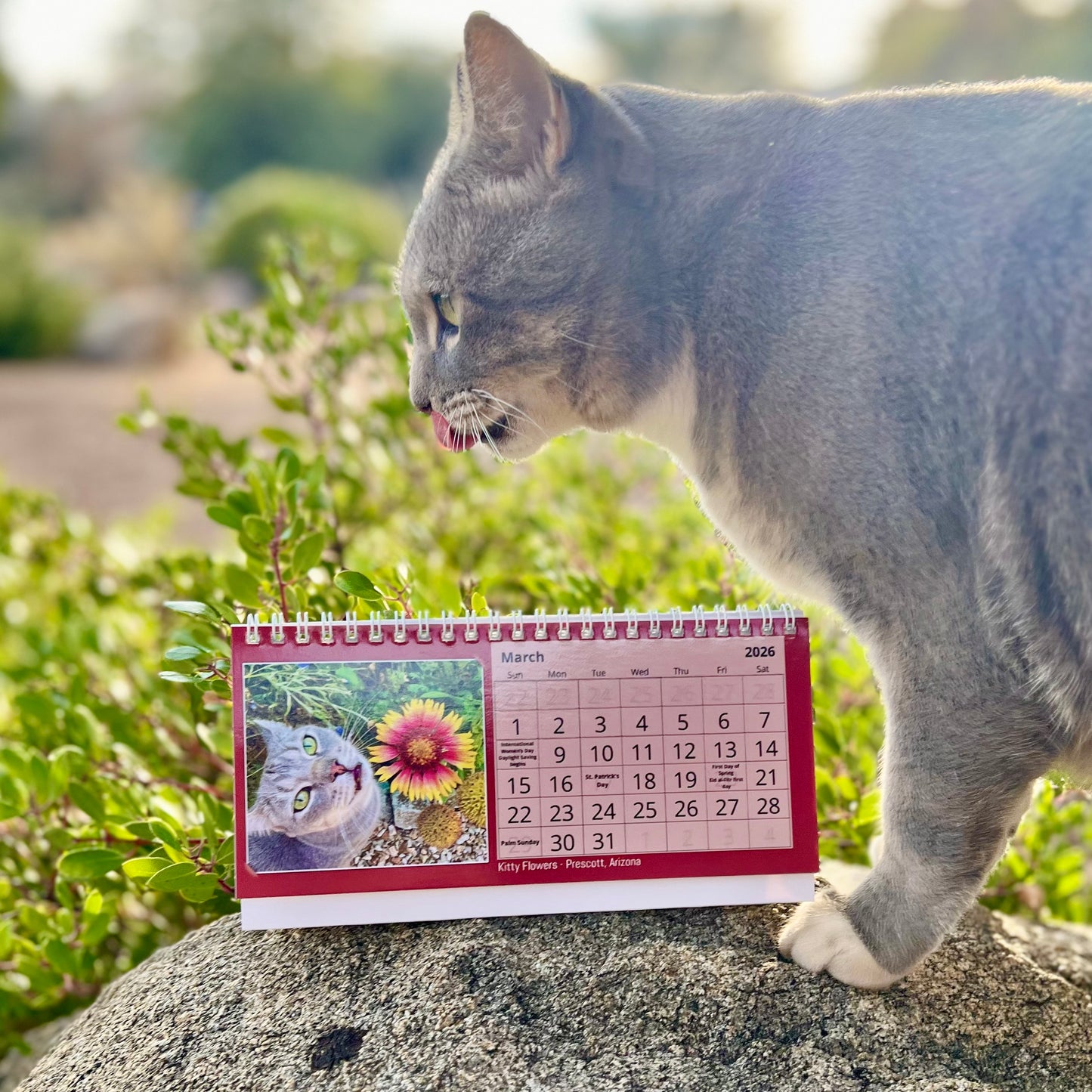 2026 Traveling with Ann DESK Calendar (WILL SHIP AFTER NOV 24th)