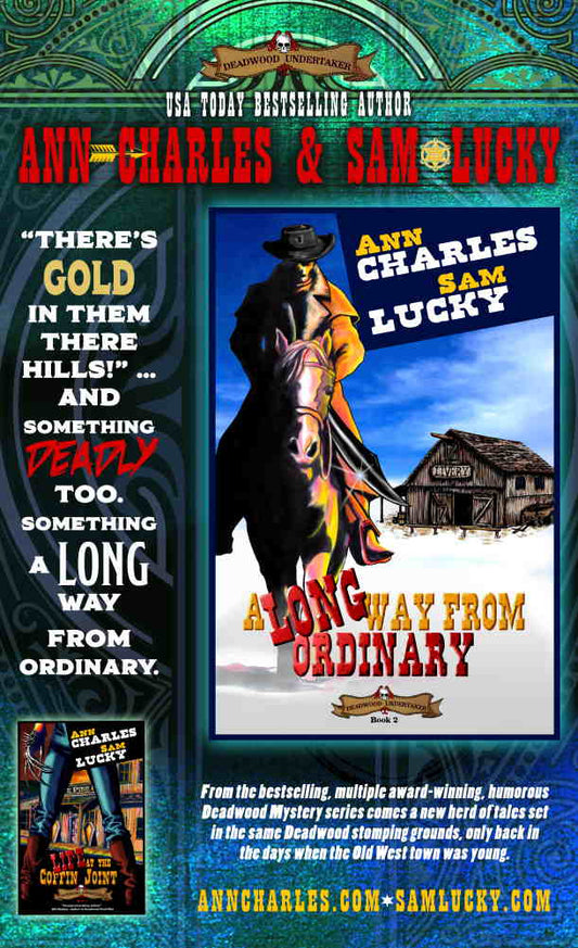 A Long Way from Ordinary - Book Release Poster