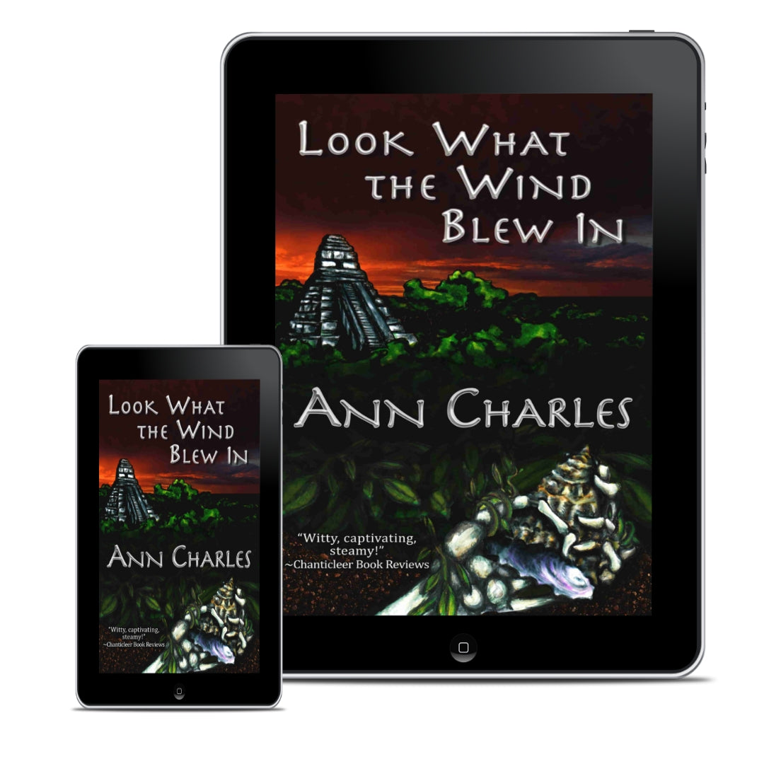 Look What the Wind Blew In (Dig Site Mystery: Book 1)
